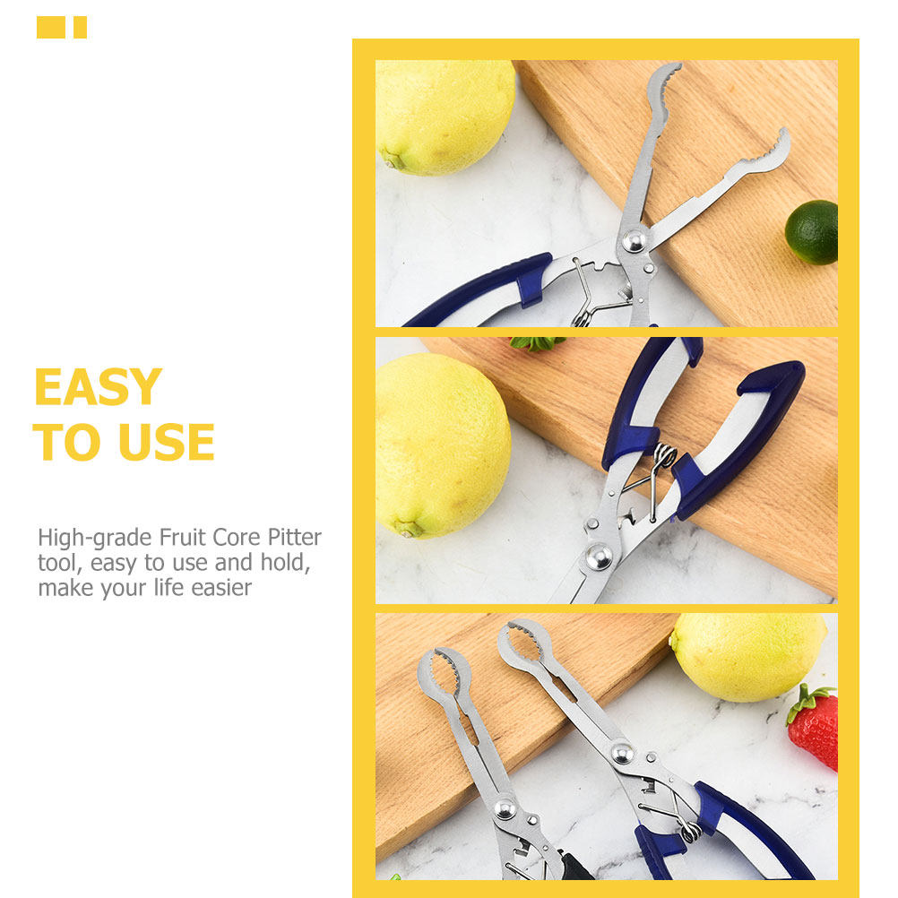 Hawthorn Core Remover Tool Por - огляд і ціна Cherry Pitter Tool